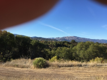 View 05.JPG